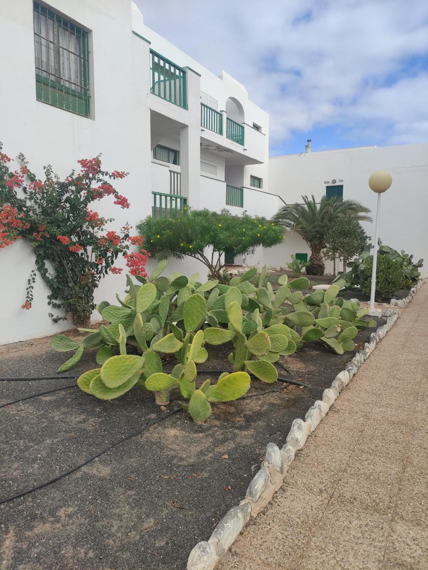 코스타 데 안티과 Casita Perla Blanca 아파트 외부 사진