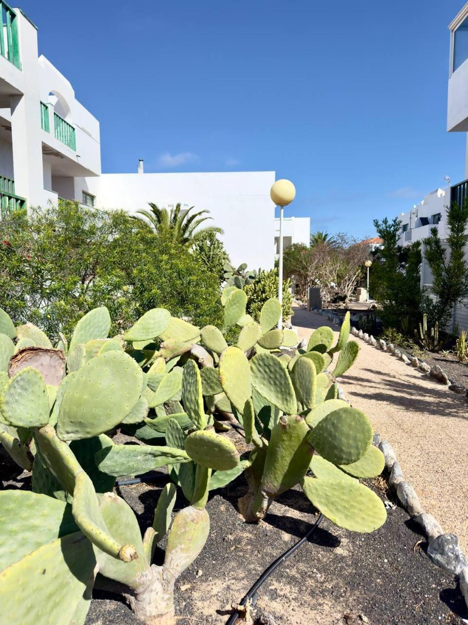 코스타 데 안티과 Casita Perla Blanca 아파트 외부 사진